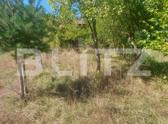 Casa de vânzare 2 camere Sita Buzaului - 205692CV | BLITZ Sfântu Gheorghe | Poza9