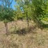 Casa de vânzare 2 camere Sita Buzaului - 205692CV - Poza 1 din 11 | BLITZ Sfântu Gheorghe | Poza8