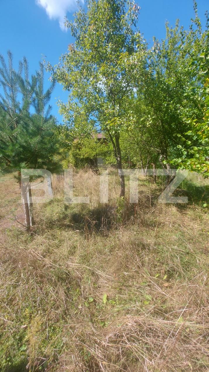 Casa de vânzare 2 camere Sita Buzaului - 205692CV | BLITZ Sfântu Gheorghe | Poza9