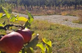 Teren intravilan, 512 mp, zona Evergreen