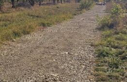 Teren intravilan, 512 mp, zona Evergreen