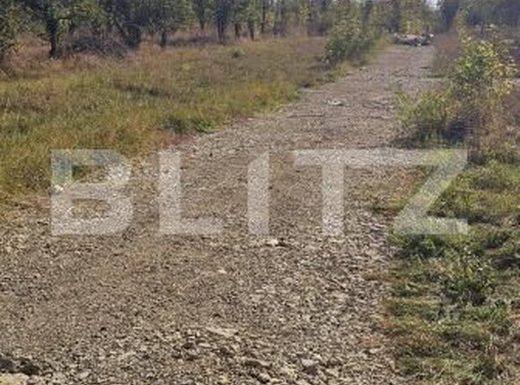 Teren de vânzare Sud - 207384TV | BLITZ Sfântu Gheorghe | Poza2