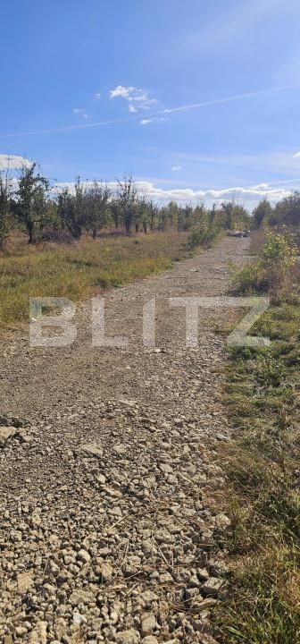 Teren de vânzare Sud - 207384TV | BLITZ Sfântu Gheorghe | Poza2