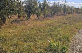 Teren intravilan, 617 mp, zona Evergreen