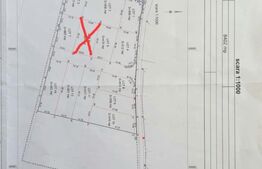 Teren intravilan, 617 mp, zona Evergreen
