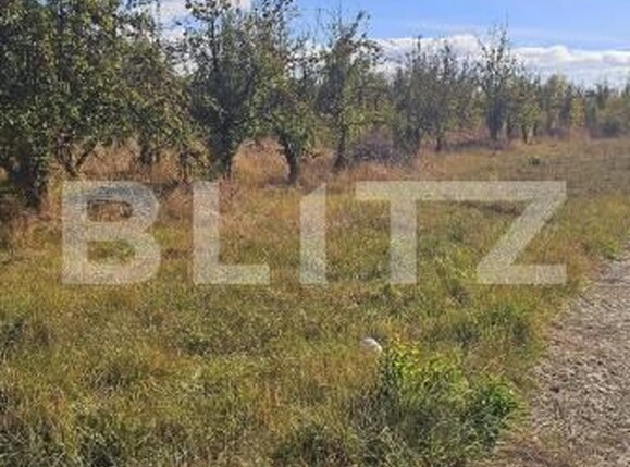 Teren de vânzare Sud - 207392TV | BLITZ Sfântu Gheorghe | Poza4