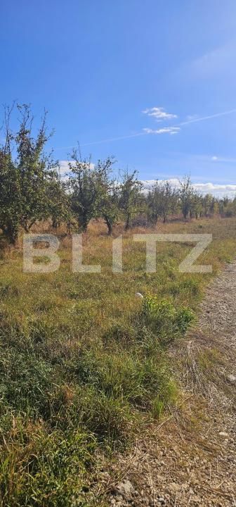 Teren de vânzare Sud - 207392TV | BLITZ Sfântu Gheorghe | Poza4