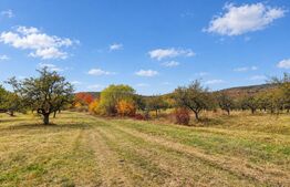 Teren extravilan, 1100 mp, zona Vest - Zălan