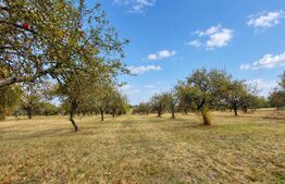 Teren extravilan, 1100 mp, zona Vest - Zălan