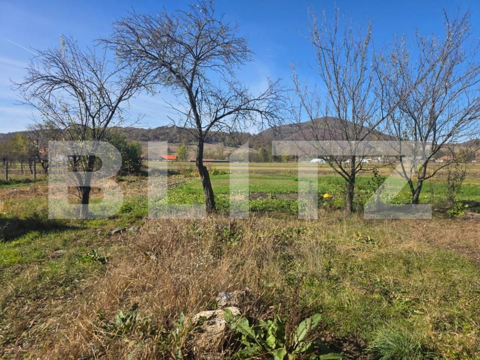 Casa de vânzare 5 camere Micfalau - 209110CV | BLITZ Sfântu Gheorghe | Poza13