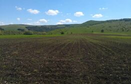 Teren extravilan, 4.8 ha, zona Periferie 