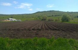 Teren extravilan, 4.8 ha, zona Periferie 