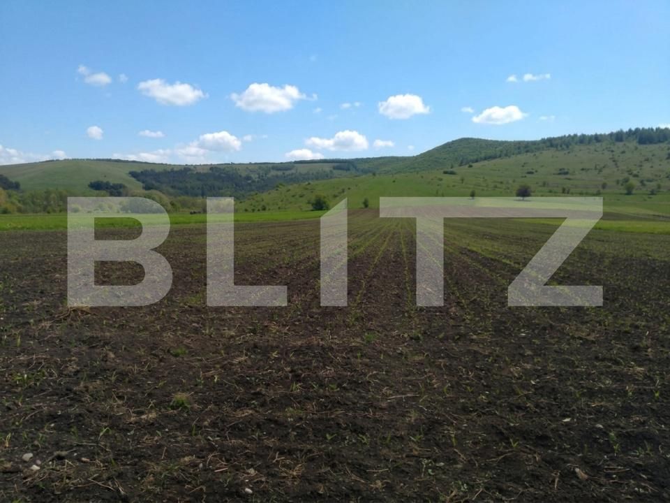 Teren de vânzare Lisnau - 209166TV | BLITZ Sfântu Gheorghe | Poza2