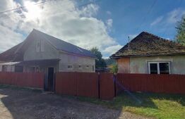 Case de vanzare + afacere, 250 mp, teren 986 mp, zona Moacsa