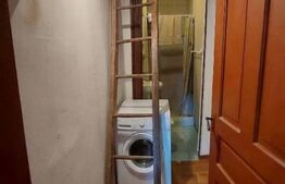 Case de vanzare + afacere, 250 mp, teren 986 mp, zona Moacsa