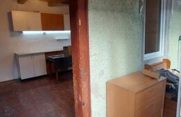 Case de vanzare + afacere, 250 mp, teren 986 mp, zona Moacsa