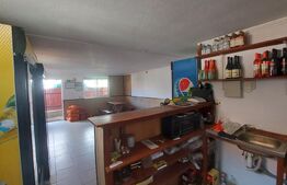Case de vanzare + afacere, 250 mp, teren 986 mp, zona Moacsa