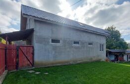 Case de vanzare + afacere, 250 mp, teren 986 mp, zona Moacsa