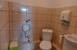 Case de vanzare + afacere, 250 mp, teren 986 mp, zona Moacsa