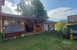 Case de vanzare + afacere, 250 mp, teren 986 mp, zona Moacsa