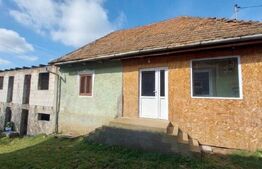 Case de vanzare + afacere, 250 mp, teren 986 mp, zona Moacsa