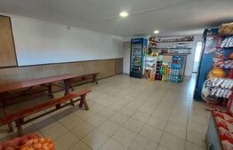 Case de vanzare + afacere, 250 mp, teren 986 mp, zona Moacsa