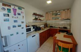 Case de vanzare + afacere, 250 mp, teren 986 mp, zona Moacsa