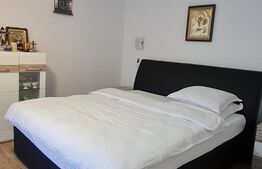 Apartament 2 camere, 70 mp, curte, cartier Turnisor