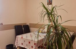 Apartament 2 camere, 70 mp, curte, cartier Turnisor