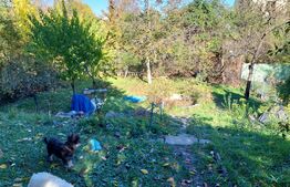 Casa tip duplex, 210 mp utili si teren aferent 797 mp, Sub Arini