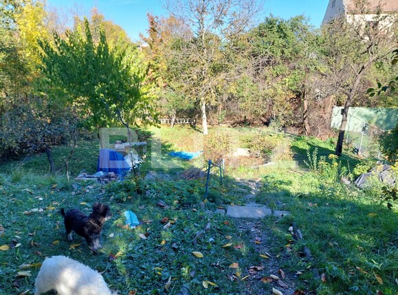 Casa de vânzare 4 camere Sub Arini - 100163CV | BLITZ Sibiu | Poza4