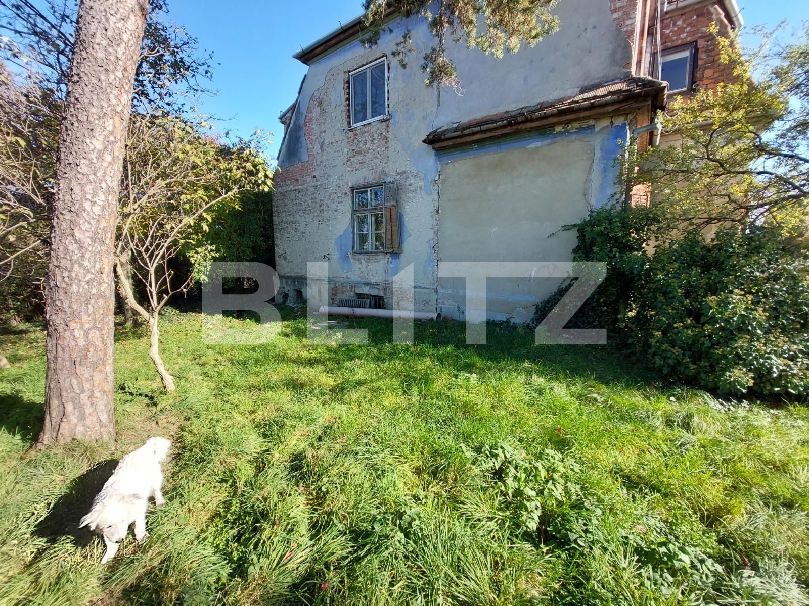 Casa de vânzare 4 camere Sub Arini - 100163CV | BLITZ Sibiu | Poza2