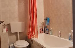 Garsoniera, 27 mp utili, etaj intermediar, zona Mihai Viteazu