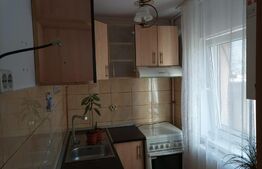 Garsoniera 27 mp, parter inalt, cartier Valea Aurie