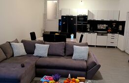 Casa in Rasinari, 128 mp, 378 mp teren, Exterior Sud