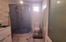 Casa in Rasinari, 128 mp, 378 mp teren, Exterior Sud