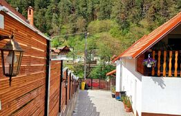 Casa in Rasinari, 128 mp, 378 mp teren, Exterior Sud