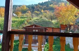 Casa in Rasinari, 128 mp, 378 mp teren, Exterior Sud