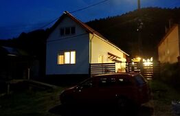 Casa in Rasinari, 128 mp, 378 mp teren, Exterior Sud