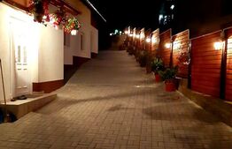 Casa in Rasinari, 128 mp, 378 mp teren, Exterior Sud