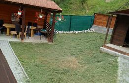 Casa in Rasinari, 128 mp, 378 mp teren, Exterior Sud