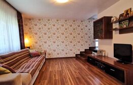 Casa de 4 camere, 2 bai, 175 mp teren, Trei Stejari 