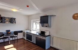 Casa de 4 camere, 2 bai, 175 mp teren, Trei Stejari 