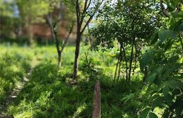 Casa cu 4 camere, 120 mp, teren 688 mp, Selimbar