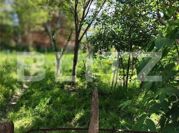 Casa de vânzare 4 camere Șelimbăr - 100884CV | BLITZ Sibiu | Poza7