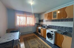 Garsoniera foarte spatioasa, cartier Terezian