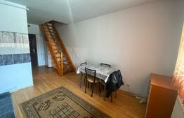 Garsoniera foarte spatioasa, cartier Terezian