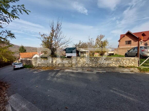 Teren de vânzare Sălişte - 101169TV | BLITZ Sibiu | Poza2