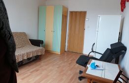 Garsoniera, 22 mp, etaj intermediar, cartier Vasile Aaron