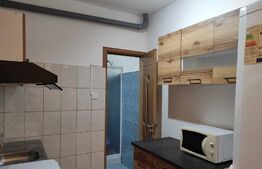 Garsoniera, 29 mp, Viile Sibiului 